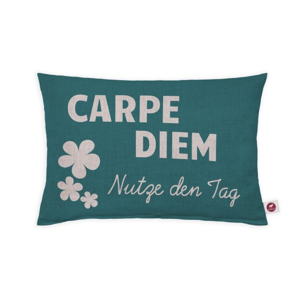 Motivkissen 30x20cm - Carpe Diem- Nutze den Tag