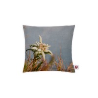 Motivkissen 20x20cm - Bergedelweiß Motivkissen 20x20cm - Bergedelweiß
